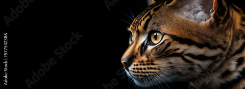Bengal exotic cat brown spotted domesticated leopard like image of a pet house cat. The pet has expressive large healthy eyes. Image was created with generative ai. photo
