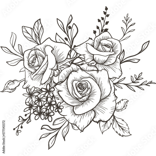 Rose Illustration Graphic, Rose Graphic,  Rose Illustration, Flower Graphic, Floral Illustration, Decoration, Vector, Cutting Files, Transparent - Isolated - Illustrator - SVG PNG JPG EPS