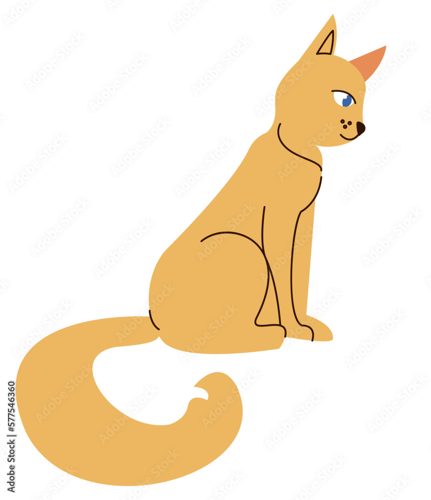 Fototapeta premium yellow cat seated