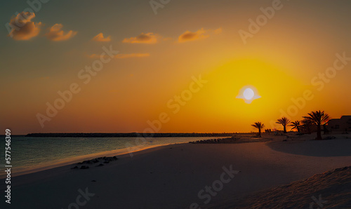 Caribbean islands on sunset. Eagle Beach in Oranjestad  Aruba. Resort on Caribbean Palm Beach. Coastline at ocean. Waves at sea on sunset.