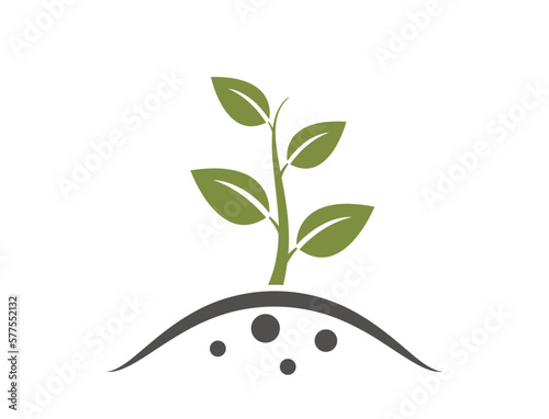 Plant sprout icon. planting, seedling, agriculture and farming symbol. isolated vector image