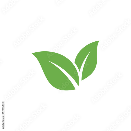 Natural Green Leaf Icon Vector Template
