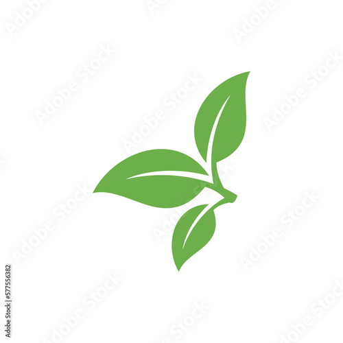 Natural Green Leaf Icon Vector Template © waniperih