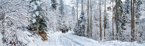 Winter landscape, panorama, banner - view of the snowy road with with a horse sleigh in the winter mountain forest after snowfall