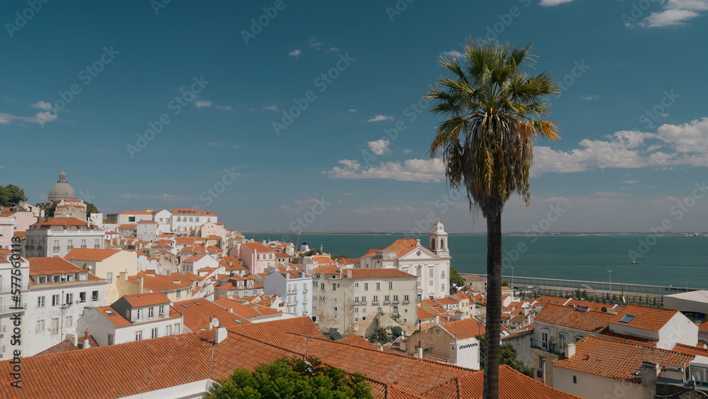 Beautiful landscape of European city with red roofs and palm tree. Action. Ancient European city with southern climate by sea. Landscape of hilly old town on background of sea on sunny day