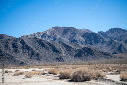 The desert landscape showing a harsh yet beautiful environment