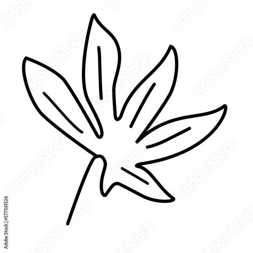 outline leaf icon