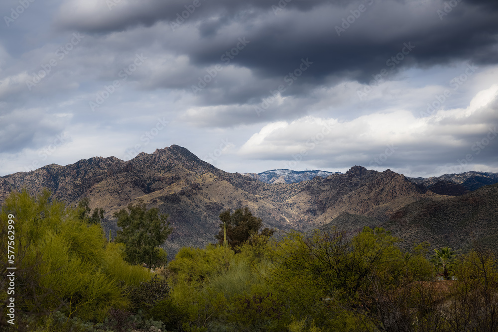 2023-03-01 THE SANTA CATALINA MOUNTAINS WITH A TOUCH OF SNOW A DARK MOODY SKY A NICE GREEN FOLIAGE IN THE FOREGROUND NEAR TUCSON ARIZONA