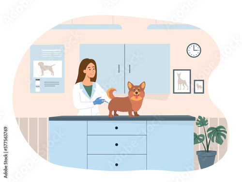 Vaccination of animals. Woman with syringe and dog, veterinary clinic. Doctor and specialist with pet makes injection. Health care and prevention in hospital. Cartoon flat vector illustration