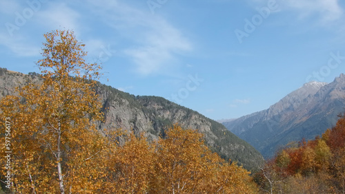 Beautiful view of autumn trees on background of mountains. Creative. Wildlife in mountain valley with colorful autumn trees. Colorful trees on background of rocky mountains in autumn © Media Whale Stock