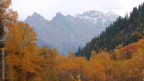 Beautiful landscape with autumn forest in mountain valley and peaks on horizon. Creative. Rocky mountains on horizon with autumn forest valley. Golden foliage of autumn forest with picturesque views