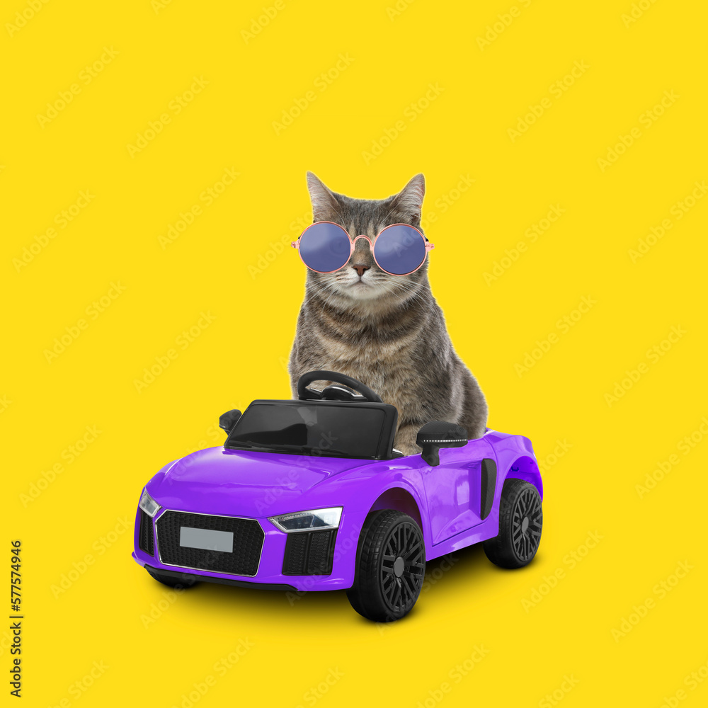 Cute cat with stylish round sunglasses in toy car on yellow background