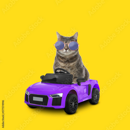 Cute cat with stylish round sunglasses in toy car on yellow background