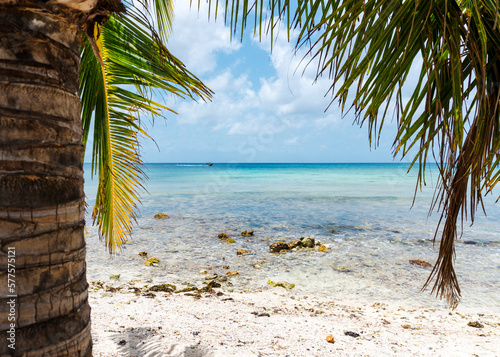 Vista de cozumel photo