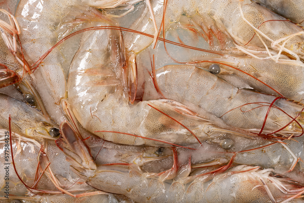 some frozen prawns close up