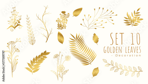 beautiful tropical golden leaves background in set