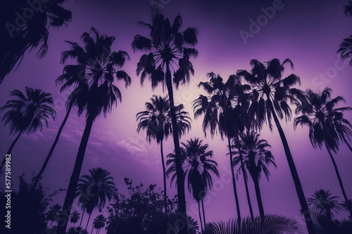 palm tress with purple sky © hotstock
