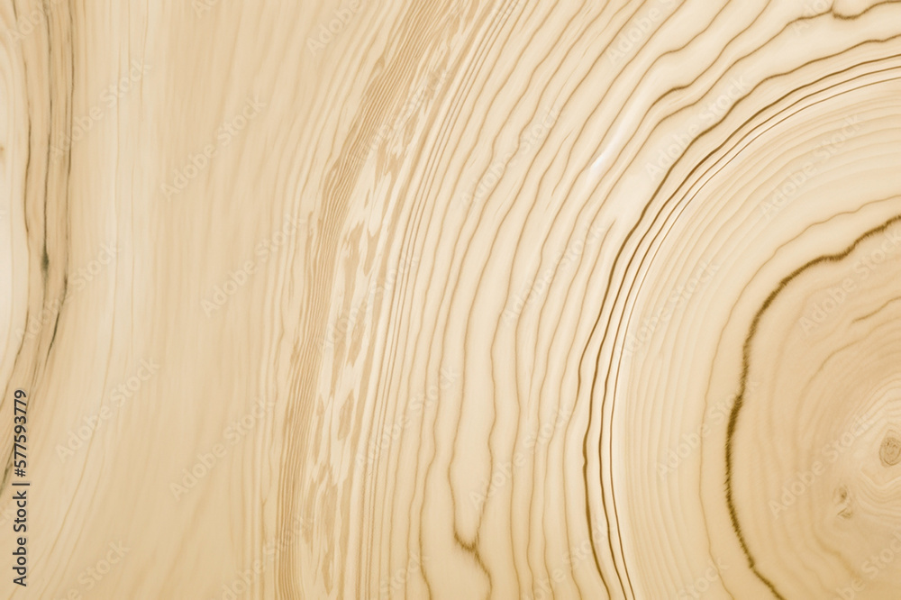 wood plank texture wood plank texture