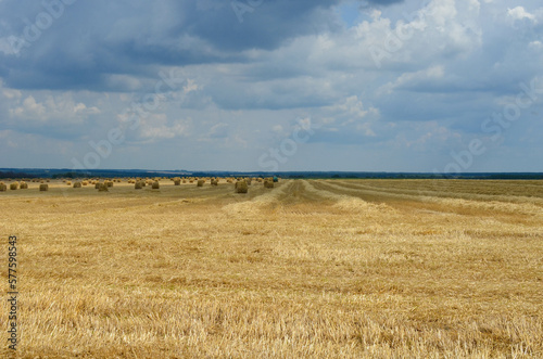 Obraz na plátně haystacks on a mown field