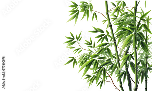 Bamboo tree on a transparent background and copy space for isolated object design and retouch.  generative AI.