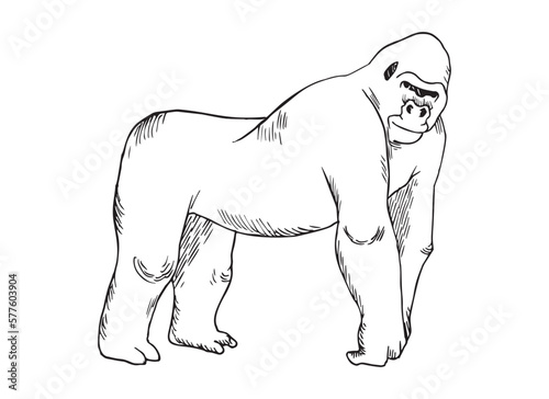Monochrome illustration of animal in sketch style. Hand drawings in art ink style. Black and white graphics.