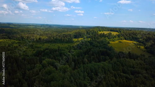 Cinematic aerial shot of an endless hills and forest landscape in southern Slovenia. Clip. Flying above summer dense forest.