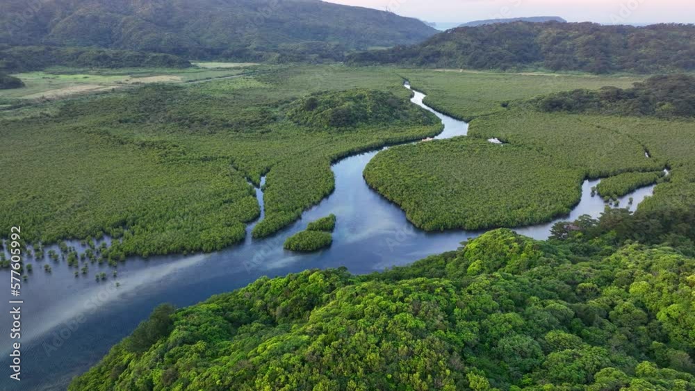 Scenic aerial view of rainforest with river delta, mangrove forest in ...