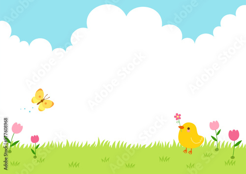 Fototapeta A baby chick and a yellow butterfly in a field of tulip flowers