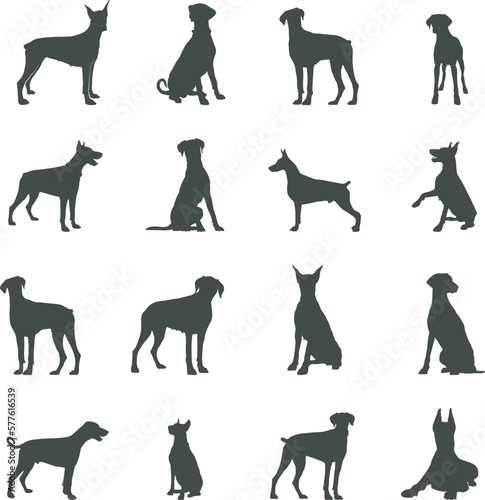 Dobermann dog silhouettes, Dobermann silhouette, Dobermann svg, Dobermann vector