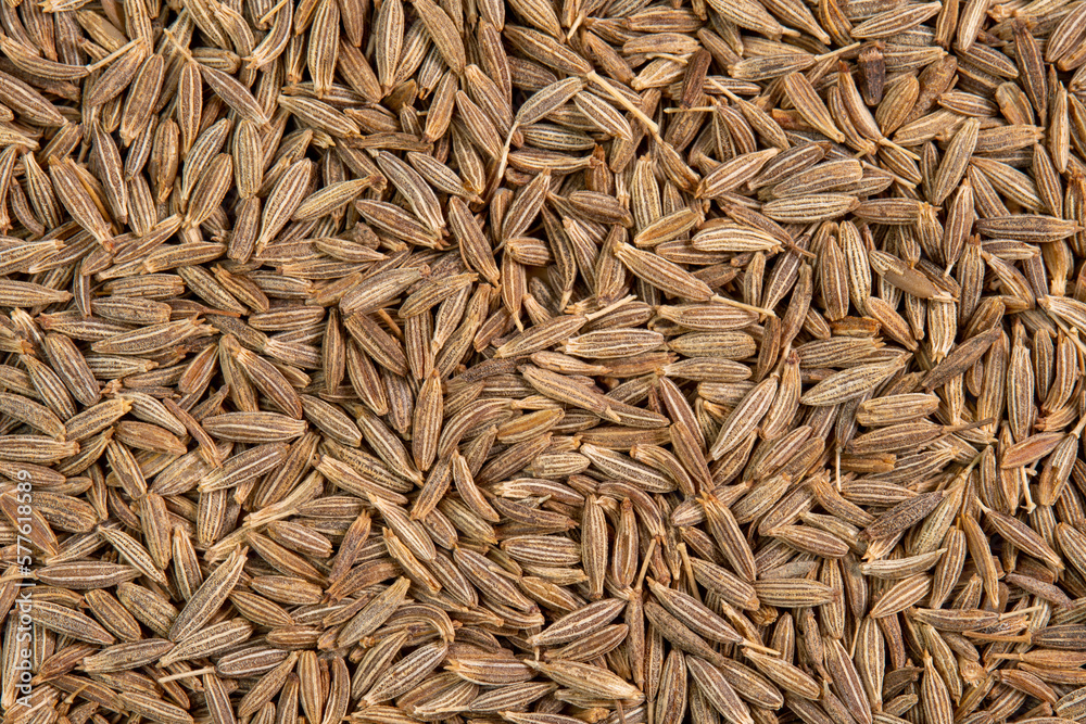 Dried cumin spice seeds background. Dry seasoning cumin. Spices and herbs for cooking zira Dried cumin spice seeds background. Dry seasoning cumin. Spices and herbs for cooking zira