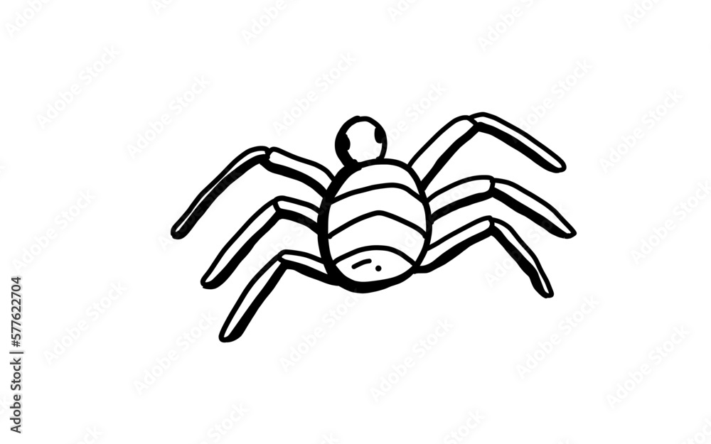 SPIDER Doodle art illustration with black and white style. SPIDER Doodle art illustration with black and white style.