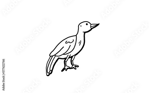 BIRD Doodle art illustration with black and white style.