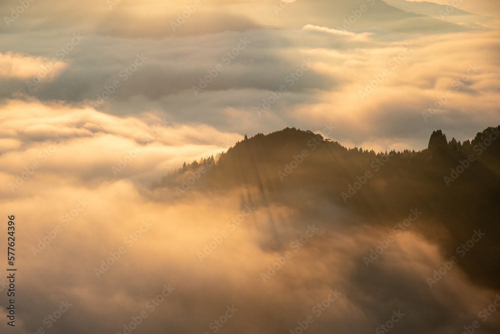 Fototapeta premium 国見ヶ丘の雲海