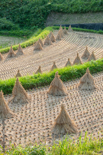 高千穂の風景