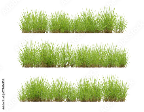 Set of green grass on transparent background, 3d render illustration.