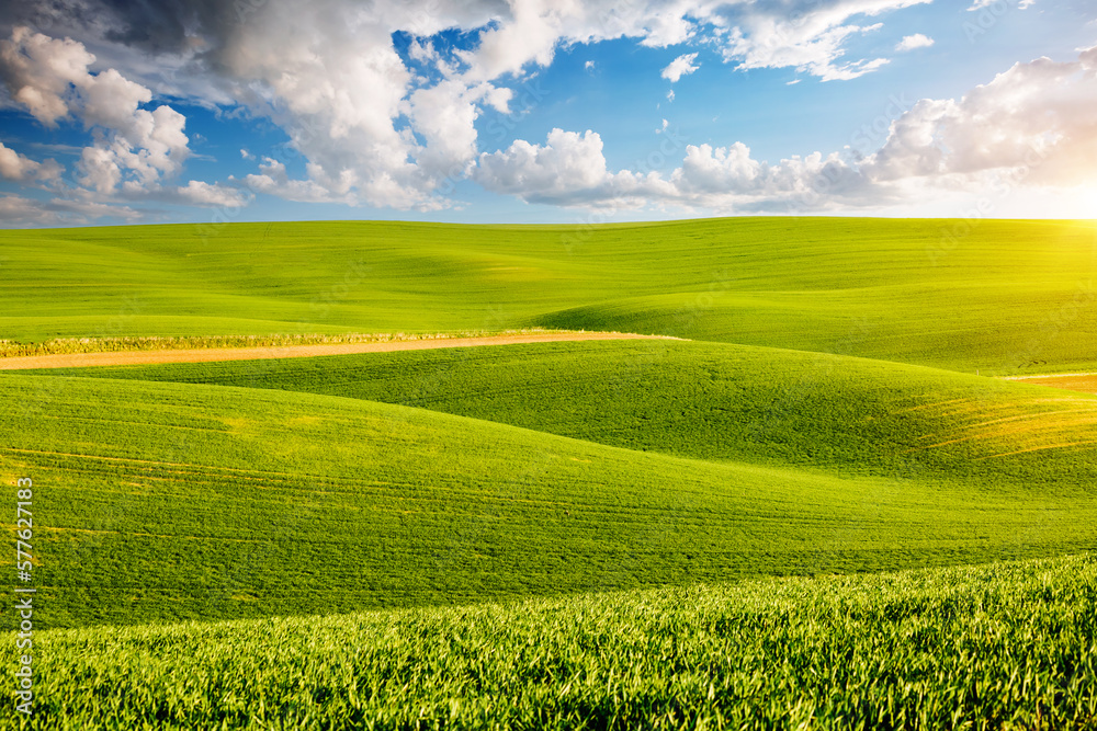 Perfect view of farmland and green wavy fields. Ukrainian agrarian region, Europe.