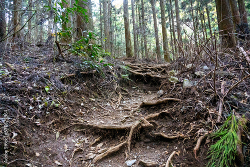 Mount Jimba trail in Tokyo, Japan