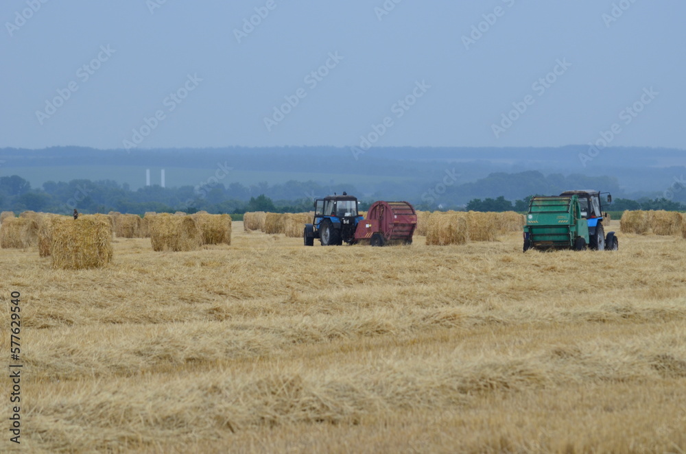 Obraz premium tractors on a mown wheat field stack haystacks
