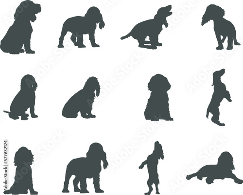 Fotografi Cocker Spaniel dog silhouettes, Cocker spaniel silhouette, Cocker spaniel animal svg, Cocker spaniel vector