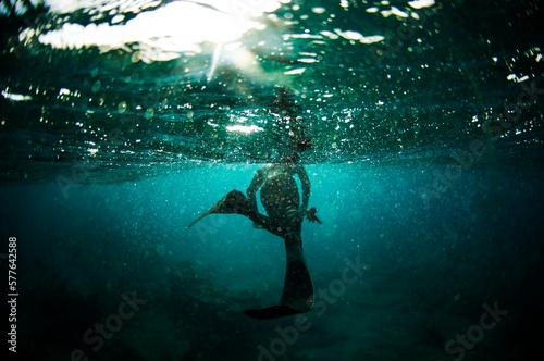 Spear fisher swimming onward photo