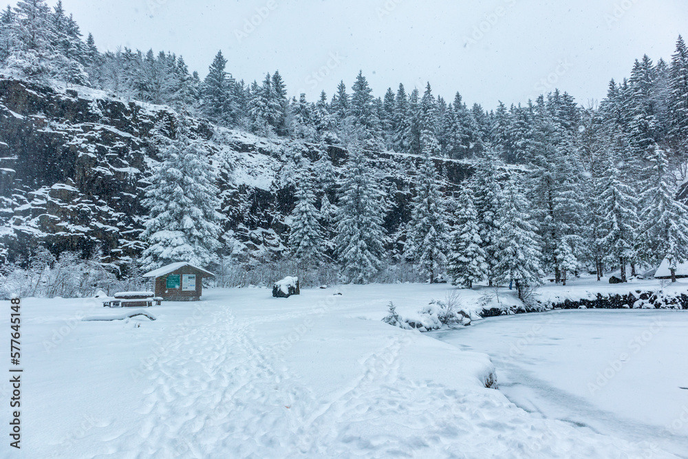 Schöne Winterlandschaft auf den Höhen des Thüringer Waldes bei Floh-Seligenthal - Thüringen - Deutschland