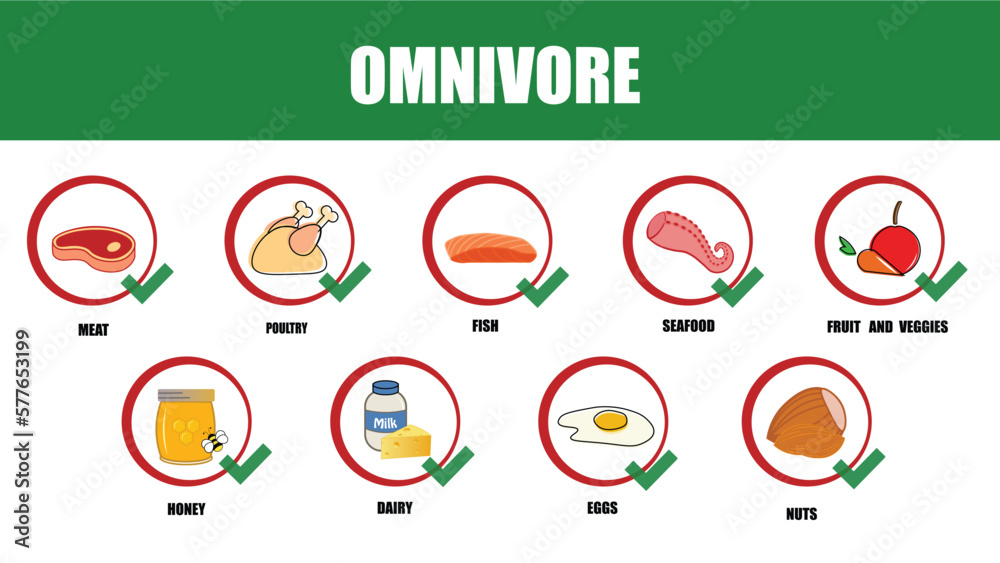 Omnivore. Types of diets and nutrition plans from weight loss collection outline set. Eating model for wellness and health care vector illustration