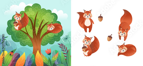 Laughing squirrels on tree. Hilarious wildlife. Children landscape. Happy characters in woods. Zoo elements set. Animals sleep on oak branches. Mammals with acorns. Vector cartoon graphic