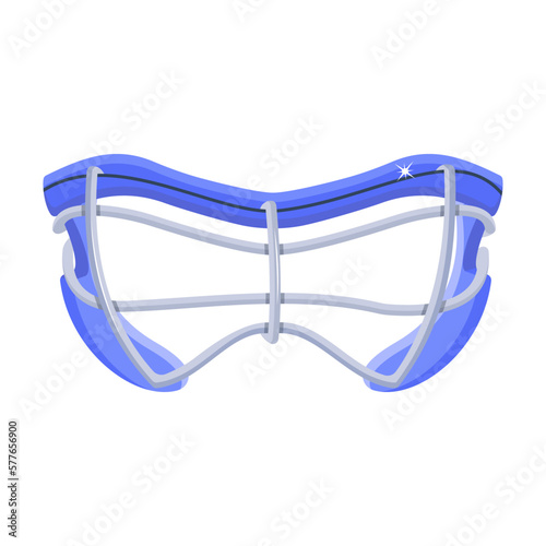 Hockey Goggles 