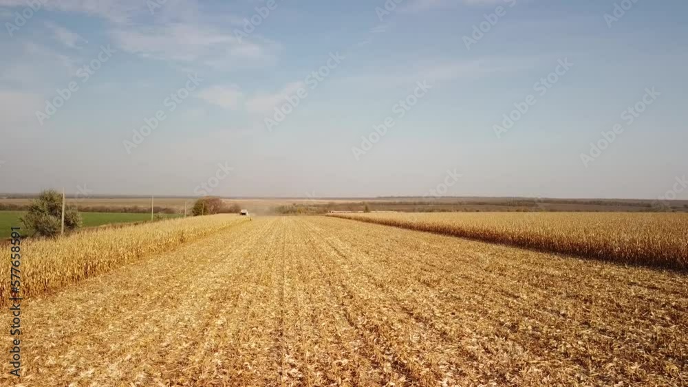 Corn Harvest 2022 in Ukraine Corn Harvest 2022 in Ukraine