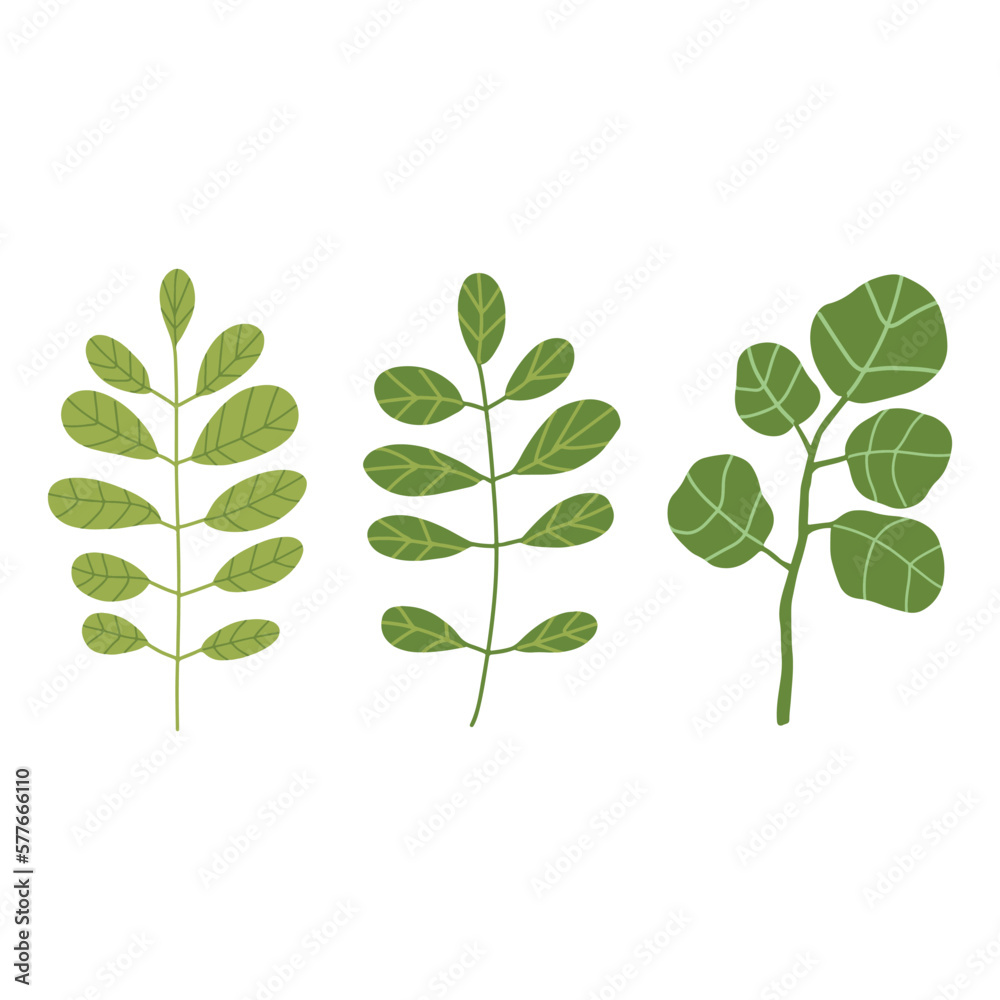 Green leaves set. Spring greenery vector hand drawn element. Leaves illustration