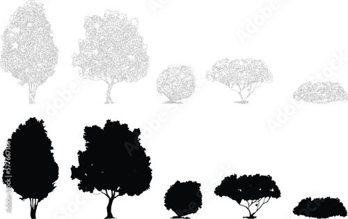 silhouette tree line drawing, Side view, set of graphics trees elements outline symbol for architecture and landscape design drawing. Vector illustration in stroke fill in white. Tropical, street tree