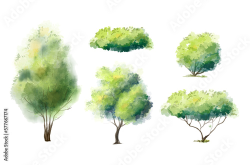 Foto Watercolor tree vector in side view isolated on white background for landscape p