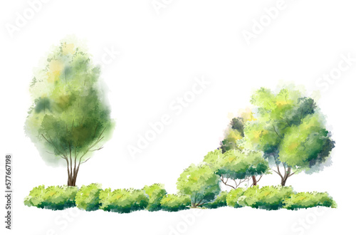 Leinwand Poster Watercolor tree vector in side view painting botanical for section and elevation