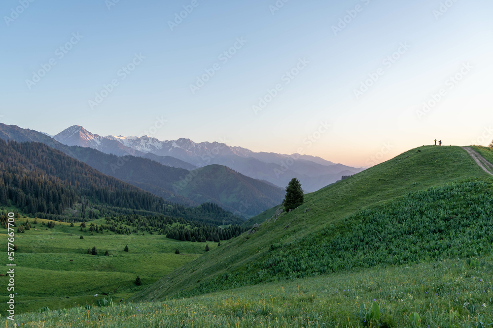 landscape in the summer